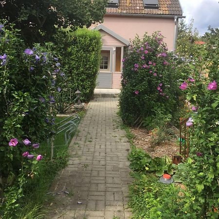 Ferienhaus-Geiserich Blankenburg  Buitenkant foto
