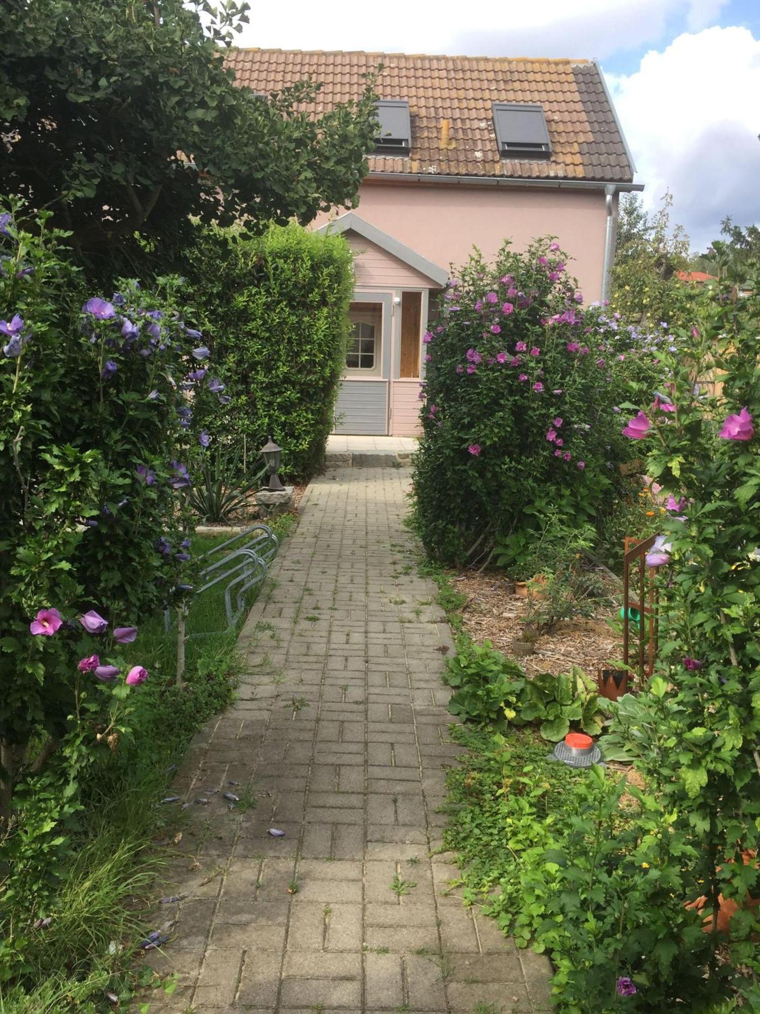 Ferienhaus-Geiserich Blankenburg  Buitenkant foto